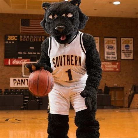 Birmingham Southern Mascots in the Community: How They Serve as Ambassadors